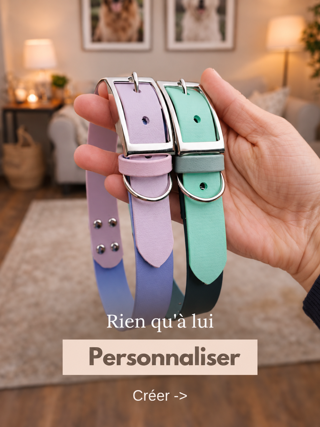 Personnalisation StyliDog : colliers pastel sur mesure