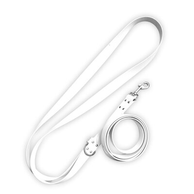 laisse pour chien patisson