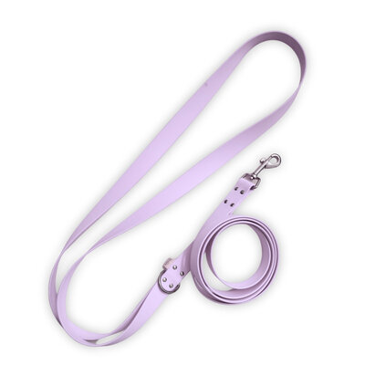 laisse pour chien lilas