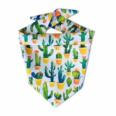 bandana chien cactus
