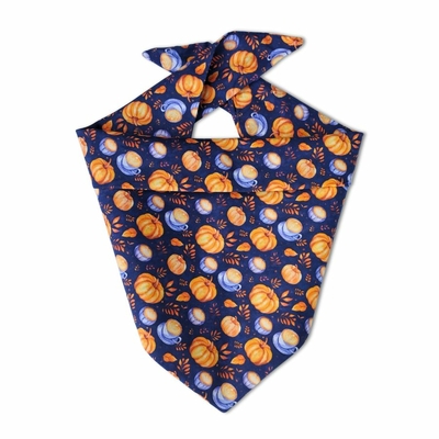 bandana pour chien motif citrouille
