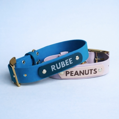 collier pour chien prénom