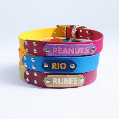 collier pour chien personnalisé stylidog