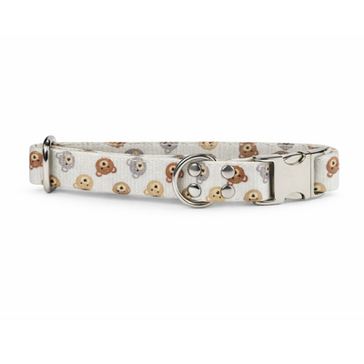 collier pour chien original STYLIDOG