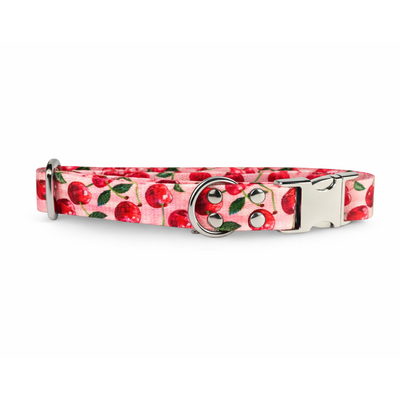 collier pour chien original STYLIDOG