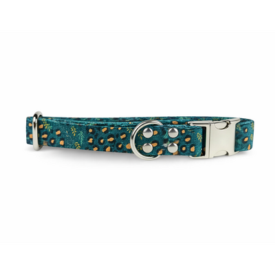 collier pour chien original STYLIDOG