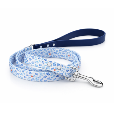 Laisse stylidog pour chien (14)