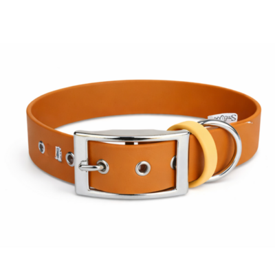 collier biothane pour chien Stylidog _20260331_151800_0001