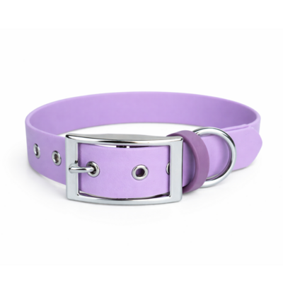 collier biothane pour chien Stylidog _20260331_151801_0007