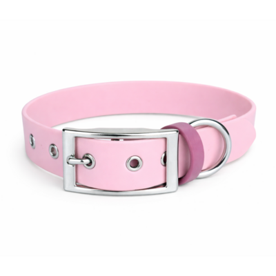 collier biothane pour chien Stylidog _20260331_151801_0010