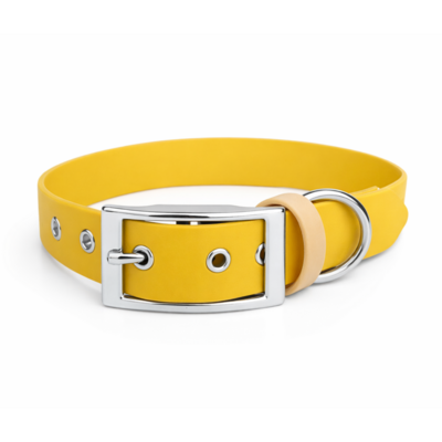 collier biothane pour chien Stylidog _20260331_151801_0011