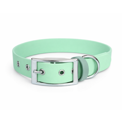 collier biothane pour chien Stylidog _20260331_151801_0023