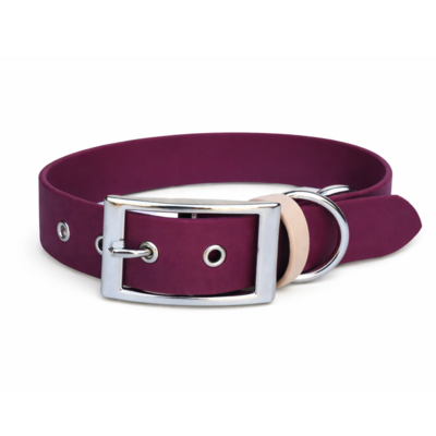 collier biothane pour chien Stylidog _20260331_151801_0025