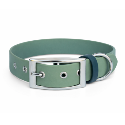 collier biothane pour chien Stylidog _20260331_151801_0026