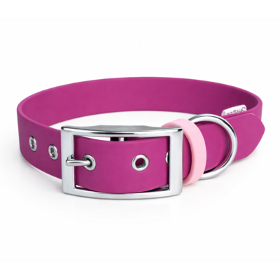 collier biothane pour chien Stylidog _20260331_151802_0033