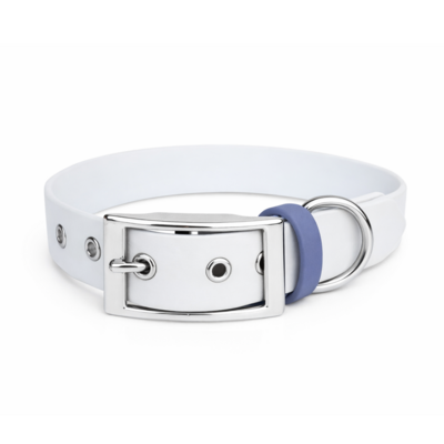 collier biothane pour chien Stylidog _20260331_151802_0036
