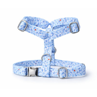 harnais Stylidog _20260331_185549_0003