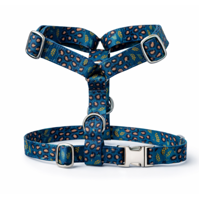 harnais Stylidog _20260331_185549_0005