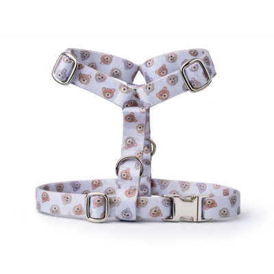harnais Stylidog _20260331_185550_0011