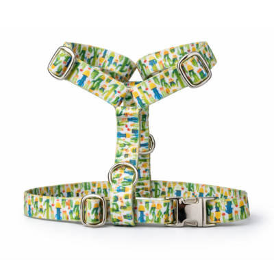 harnais Stylidog _20260331_185550_0010