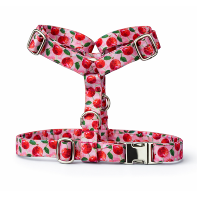 harnais Stylidog _20260331_185550_0009