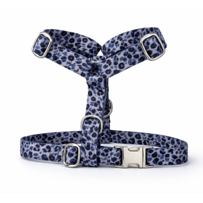 harnais Stylidog _20260331_185549_0007