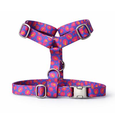 harnais Stylidog _20260331_185549_0008