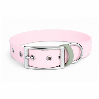 collier pour chien stylidog
