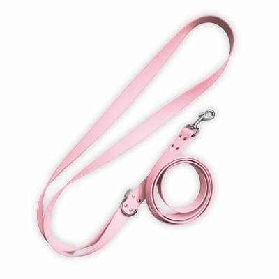 laisse pour cbhien stylidog