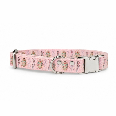collier pour chien stylidog