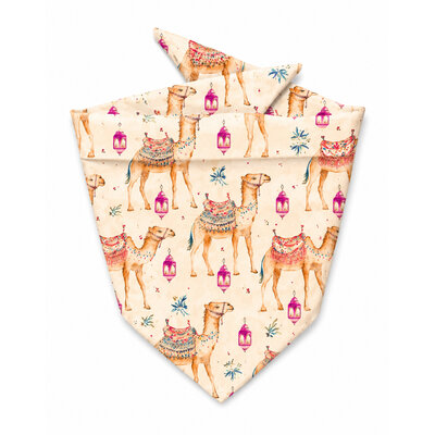 bandana pour chien stylidog