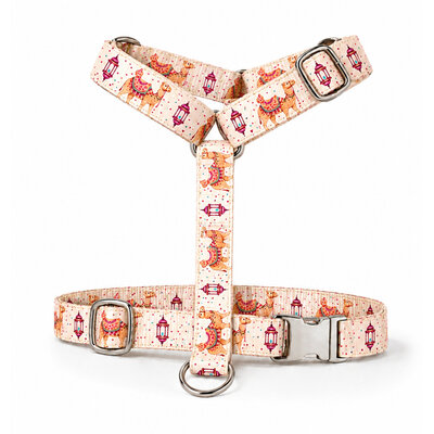 harnais pour chien stylidog