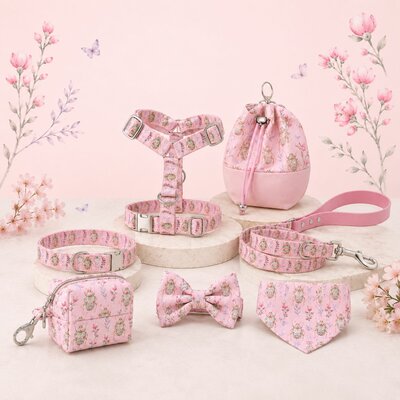 COFFRET BALLADE STYLIDOG