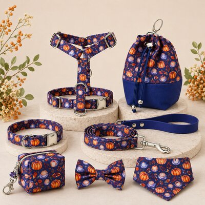 COFFRET BALLADE STYLIDOG