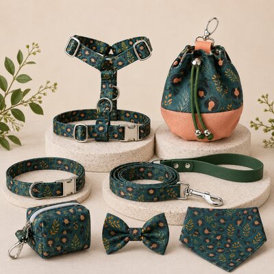 COFFRET BALLADE STYLIDOG