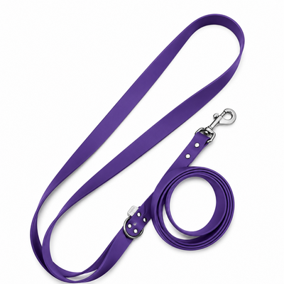 ENSEMBLE BIOTHANE STYLIDOG CHIEN