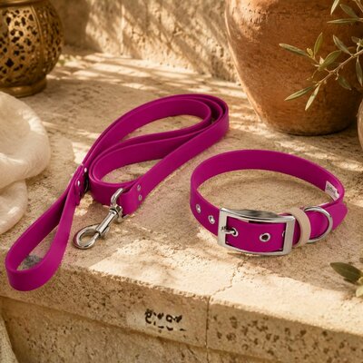 ENSEMBLE BIOTHANE STYLIDOG CHIEN