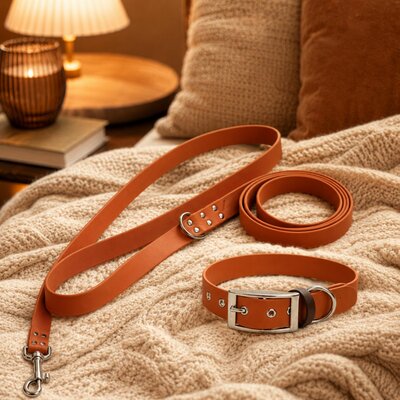 ENSEMBLE BIOTHANE STYLIDOG CHIEN