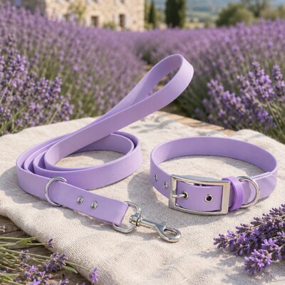 ENSEMBLE BIOTHANE STYLIDOG CHIEN