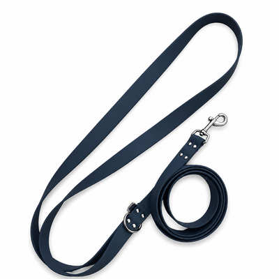 Biothane Stylidog chien