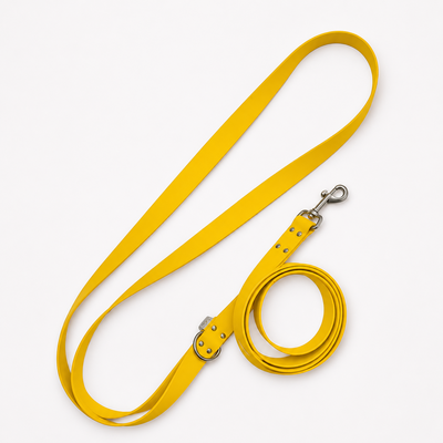 ENSEMBLE BIOTHANESTYLIDOG CHIEN
