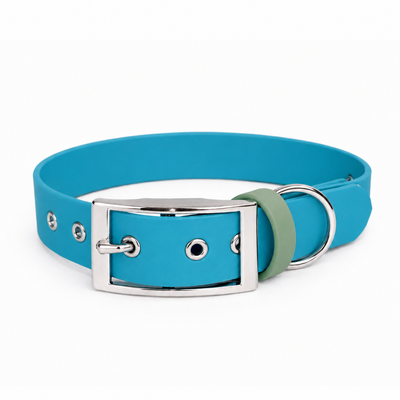 ENSEMBLE BIOTHANE CHIEN STYLIDOG