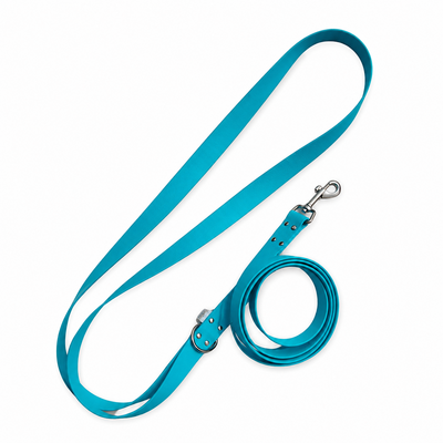 ENSEMBLE BIOTHANE CHIEN STYLIDOG
