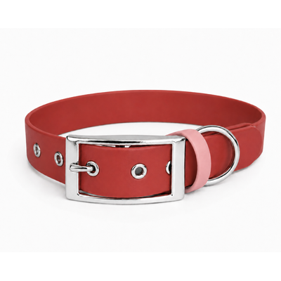 ENSEMBLE BIOTHANE CHIEN STYLIDOG