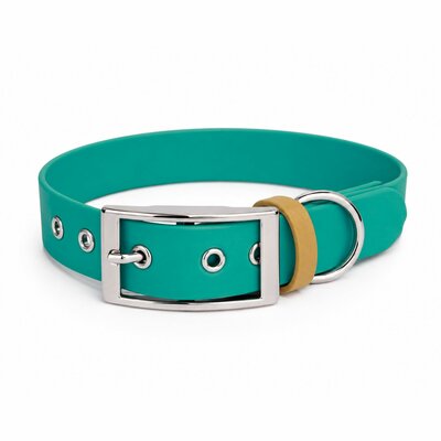 ENSEMBLE BIOTHANE CHIEN STYLIDOG