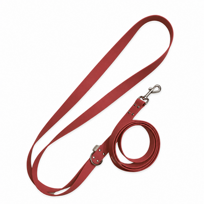 ENSEMBLE BIOTHANE CHIEN STYLIDOG
