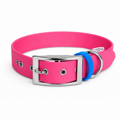 Ensemble stylidog biothane chien