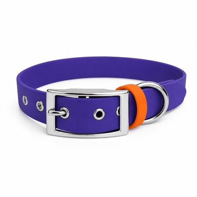 COLLIER BIOTHANE STYLIDOG CHIEN