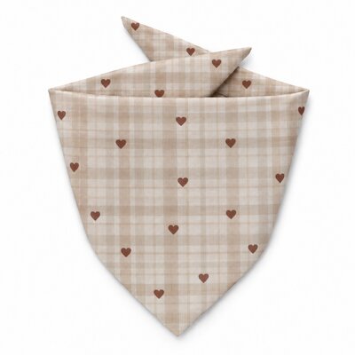 ACCESSOIRES POUR CHIEN STYLIDOG MOTIF LATTE CLUB