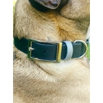 collier chien reglisse